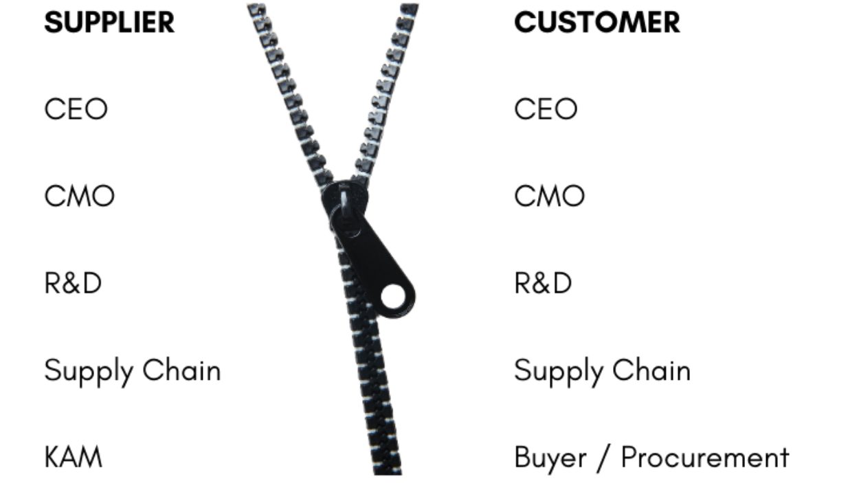 Zippering in key account management: supplier CEO, CMO, R&D, supply chain and KAM aligned with their customer counterparts, from CEO to buyer and procurement