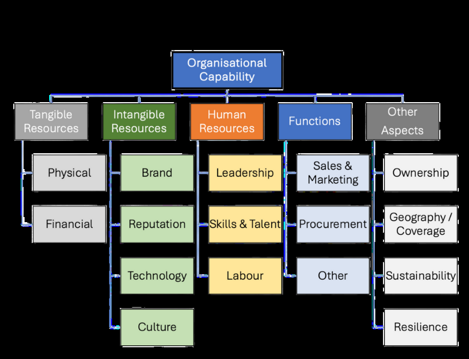 Organisational capability model showing five areas: tangible resources, intangible resources, human resources, functions and other aspects such as ownership, geography, sustainability and resilience