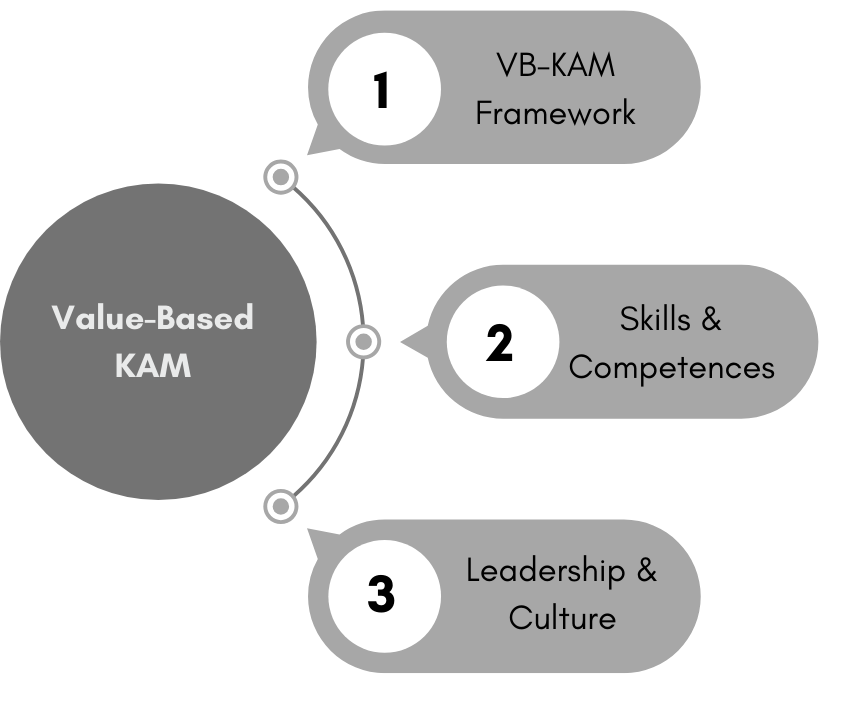 Diagram of Value-Based KAM showing three elements: the VB-KAM framework, skills and competences, and leadership and culture